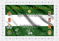 Diploma Plata
